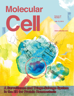 mol_cell_20120807_A1_out.jpg