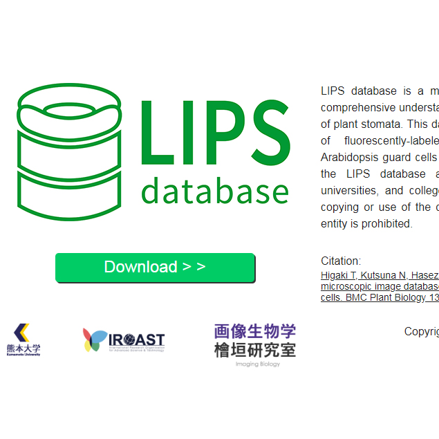 LIPS database（画像生物学 檜垣研究室） 
